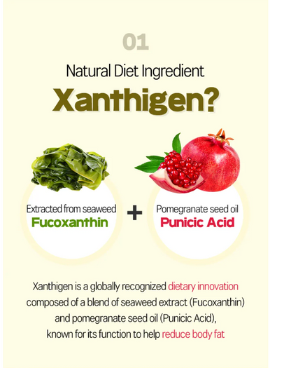 GREEN MONSTER - Body Fat Diet Kaloout