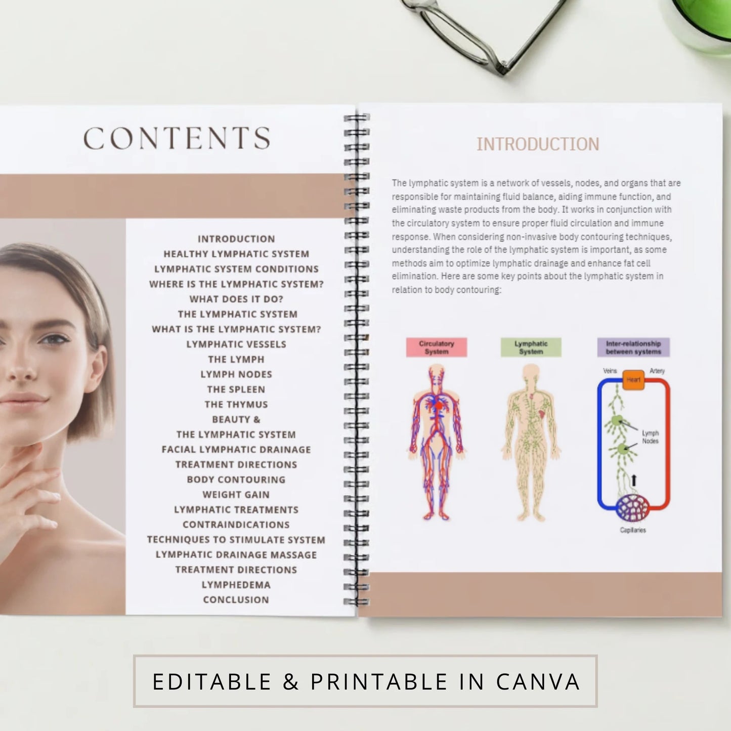 Brazilian Lymphatic Drainage Certification Course & Manual (Instant Download)